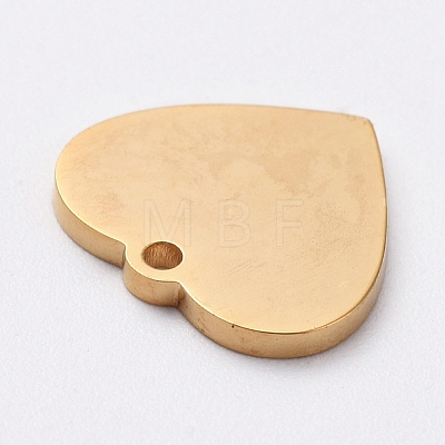Vacuum Plating 304 Stainless Steel Stamping Blank Tag Charms STAS-G215-12-G02-1