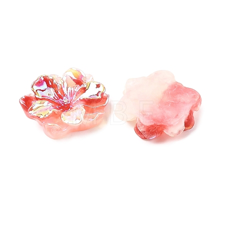 Luminous Resin Cabochons RESI-E033-02H-1