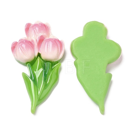 Opaque Resin Cabochons X-RESI-G072-04A-1