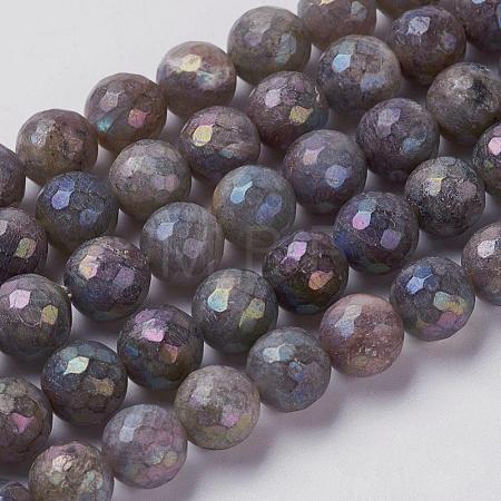 Natural Labradorite Beads Strands G-J376-49-6mm-1