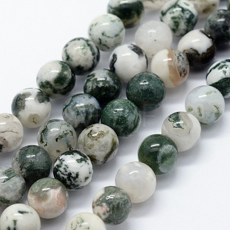 Natural Tree Agate Beads Strands X-G-I199-03-6mm-1