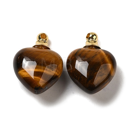 Natural Tiger Eye Perfume Bottle Pendants G-Z039-03G-05-1