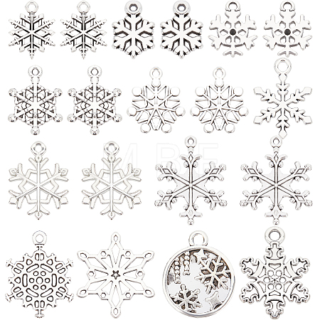 120Pcs 12 Style Tibetan Style Alloy Pendants TIBE-SC0001-84-1
