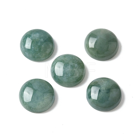 Natural Moss Agate Cabochons G-Z075-06C-1
