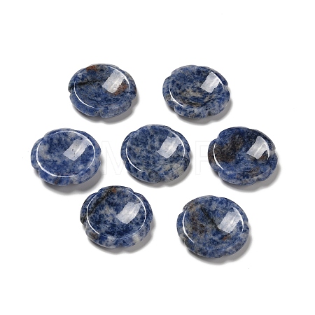 Natural Blue Spot Jasper Worry Stones G-E586-01U-1