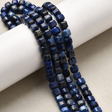 Natural Lapis Lazuli Beads Strands G-F797-A11-01-1