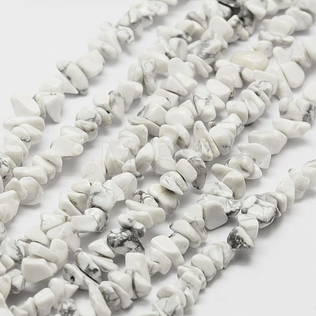 Natural Howlite Beads Strand X-G-F328-05-1
