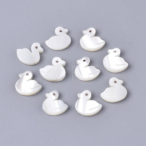 Natural Trochid Shell/Trochus Shell Beads SSHEL-N034-63-1