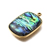 304 Stainless Steel Pave Natural Paua Shell Pendants STAS-Z125-01I-G-2