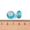 Transparent Glass European Beads GPDL-N004-D14mm-B09-3