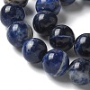 Natural South Africa Sodalite Beads Strands G-S259-35-10mm-5