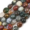 Natural Indian Agate Beads Strands GG-CBA787B-A23-2
