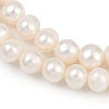 Natural Cultured Freshwater Pearl Beads Strands PEAR-I007-07X-03A-4