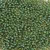 TOHO Round Seed Beads X-SEED-TR08-0380-2