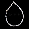 Natural Freshwater Shell Beads Strands SH-CBA2978-13-3