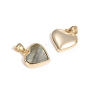 Natural Black Lip Shell Charms KK-L196-14D-2