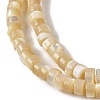 Natural Trochid Shell/Trochus Shell Beads Strands BSHE-H018-02-3