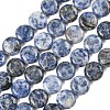 Natural Blue Spot Jasper Beads Strands G-L648-B08-15mm-3