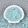 FGB Grade A Frosted Glass Seed Beads SEED-Q040-04A-02-3