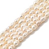 Natural Cultured Freshwater Pearl Beads Strands PEAR-I007-01N-02B-2