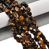 Natural Tiger Eye Beads Strands G-P497-01E-20-2