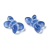 Transparent Lampwork Beads LAMP-P065-02A-19-2