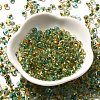 Transparent Baking Paint Glass Seed Beads SEED-P006-02B-04-2