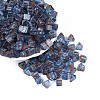 Picasso Transparent Glass Beads SEED-Q039-02B-1