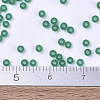 MIYUKI Round Rocailles Beads X-SEED-G007-RR0147F-4