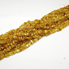 Natural Amber Chip Beads Strands G-E333-01B-1