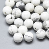 Natural Howlite Beads G-T122-25A-06-1