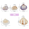 5 Styles Shell Beads SHEL-FH0001-22-2