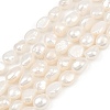 Natural Cultured Freshwater Pearl Beads Strands PEAR-P064-20K-06A-2