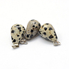 Teardrop Natural Dalmatian Jasper Pendants G-Q435-16-2