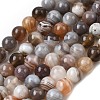 Natural Botswana Agate Beads Strands G-H334-A01-01-2