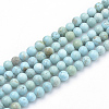 Synthetic Turquoise Beads Strands G-Q953-03-10mm-1