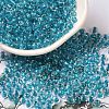 6/0 Transparent Colours Glass Seed Beads SEED-P006-01A-08-1