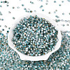 Drawbench Style Glass Seed Beads SEED-Q039-01I-2