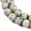 Natural Blue Ice Glacierite Stone Beads Strands G-H062-A04-04-4