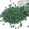 TOHO 8/0 Round Beads X-SEED-TR08-0130D-1