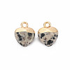 Natural Dalmatian Jasper Charms LS-G-N326-121-01-2