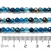 Natural Agate Beads Strands G-H302-A01-02-5