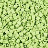 FGB Baking Paint Glass Seed Beads SEED-Q040-09A-11-3