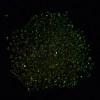 Luminous Glass Seed Beads X1-SEED-A033-07M-5