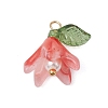 Handmade Lampwork Pendants PALLOY-TA00184-3
