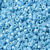 Baking Paint Glass Seed Beads SEED-S042-15A-10-3
