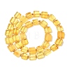 Natural Amber Beads Strands G-C260-A01-04-3
