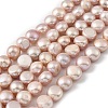 Natural Cultured Freshwater Pearl Beads Strands PEAR-P064-19I-03C-2