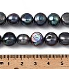 Natural Cultured Freshwater Pearl Beads Strands PEAR-P064-19L-01A-5