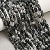 Natural Eagle Eye Stone Beads Strands G-D108-A02-04-1